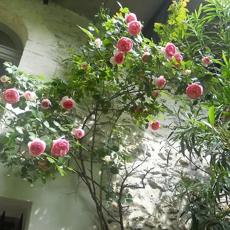 Le Cloitre Du Couvent 3* Villeneuve-lès-Avignon